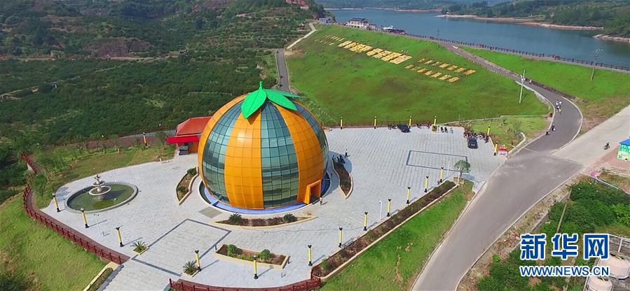 （习近平新时代中国特色社会主义思想在基层&middot;美好生活新变化&middot;图文互动）（2）从会种到会卖 由会卖到懂种&mdash;&mdash;南丰&ldquo;蜜桔村&rdquo;破困局、种&ldquo;金&rdquo;桔