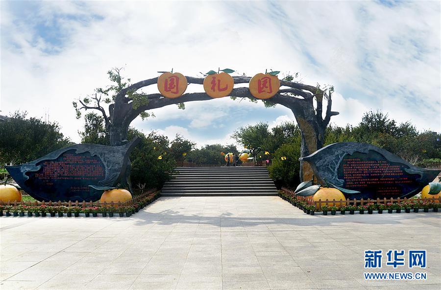 （习近平新时代中国特色社会主义思想在基层&middot;美好生活新变化&middot;图文互动）（1）从会种到会卖 由会卖到懂种&mdash;&mdash;南丰&ldquo;蜜桔村&rdquo;破困局、种&ldquo;金&rdquo;桔