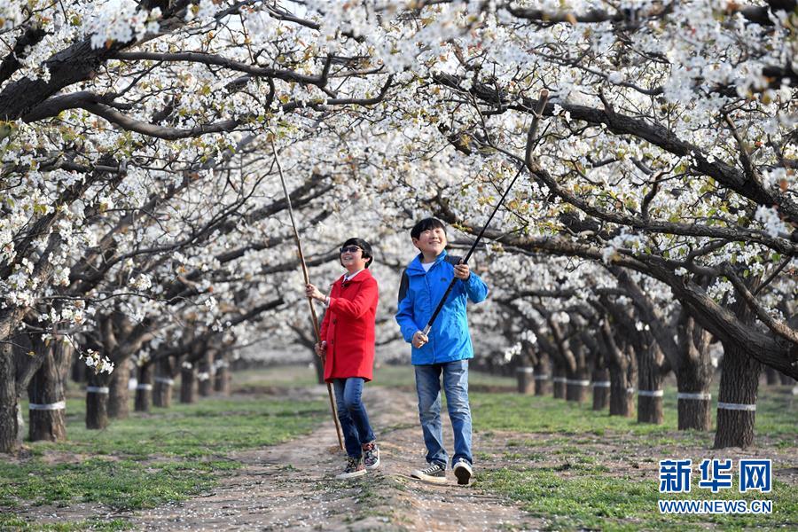 #(图片故事)(1)“袖珍小夫妻” 创业大梦想