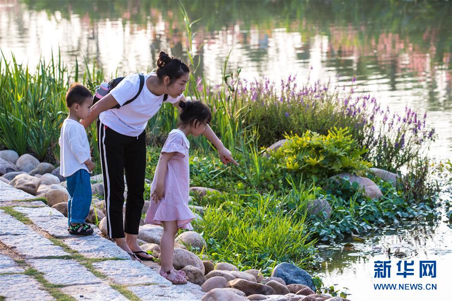 （环境）（11）福建漳州：&ldquo;生态+&rdquo;打造宜居之城