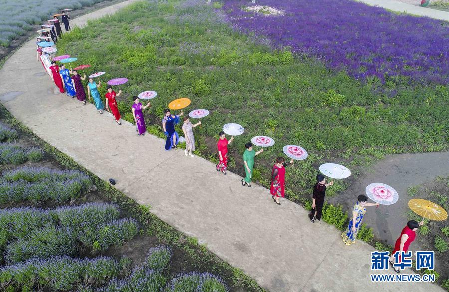 #（社会）（3）母亲节旗袍秀风采