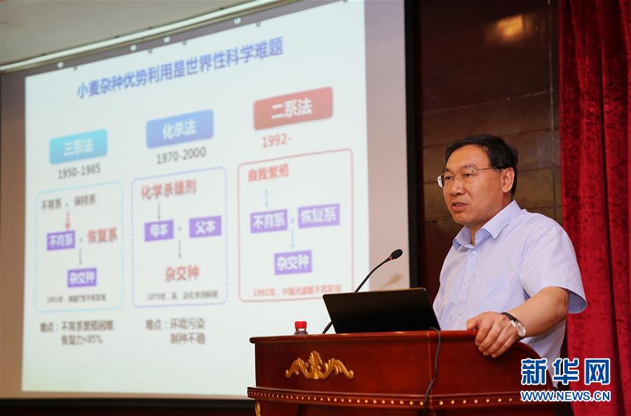 （社会）（2）全国杂交小麦学术研讨会在河南邓州举行