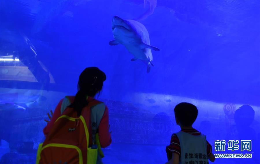 （社会）（3）夜宿&ldquo;海底&rdquo;亲近海洋