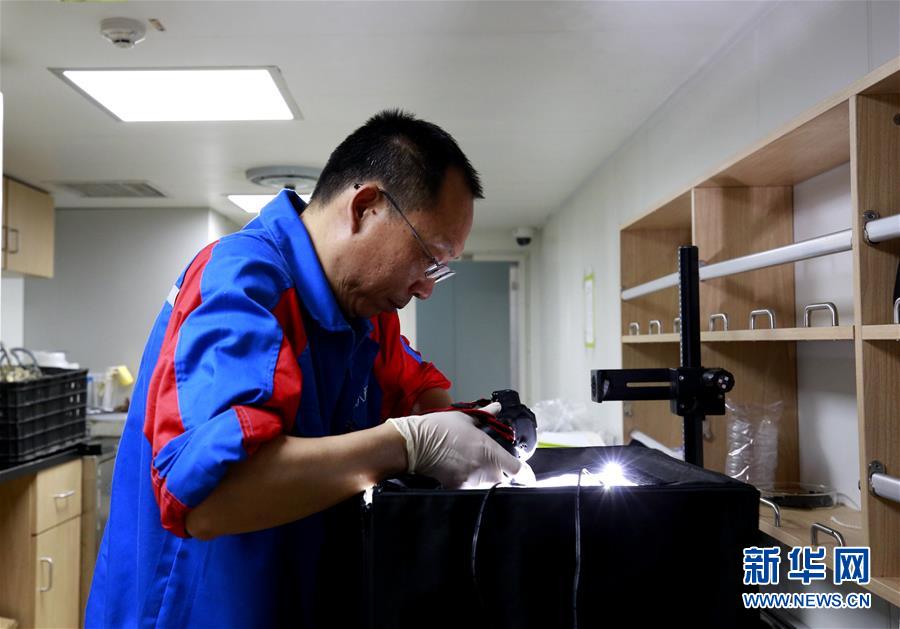 （图文互动）（2）到南海&ldquo;海马冷泉&rdquo;探秘海底的&ldquo;生命绿洲&rdquo;