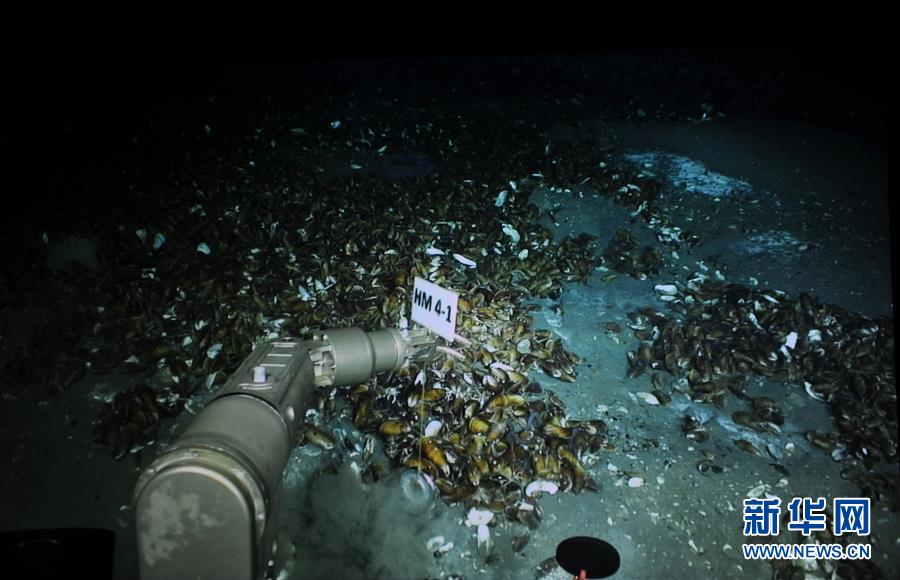 （图文互动）（3）到南海&ldquo;海马冷泉&rdquo;探秘海底的&ldquo;生命绿洲&rdquo;