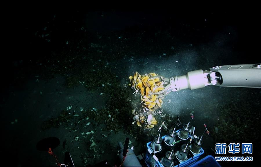 （图文互动）（4）到南海&ldquo;海马冷泉&rdquo;探秘海底的&ldquo;生命绿洲&rdquo;
