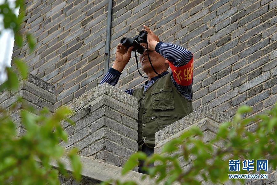 （壮阔东方潮 奋进新时代&mdash;&mdash;庆祝改革开放40年）（6）太行山上的&ldquo;绿色长征&rdquo;