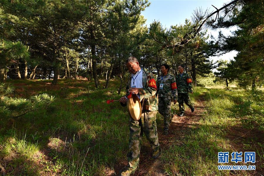 （壮阔东方潮 奋进新时代&mdash;&mdash;庆祝改革开放40年&middot;新华视界）（4）太行山上的&ldquo;绿色长征&rdquo;