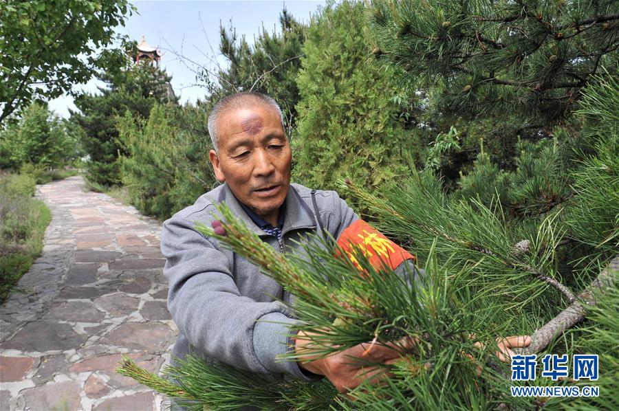 （壮阔东方潮 奋进新时代&mdash;&mdash;庆祝改革开放40年&middot;新华视界）（6）太行山上的&ldquo;绿色长征&rdquo;