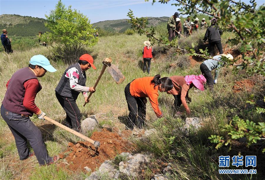 （壮阔东方潮 奋进新时代&mdash;&mdash;庆祝改革开放40年&middot;新华视界）（8）太行山上的&ldquo;绿色长征&rdquo;