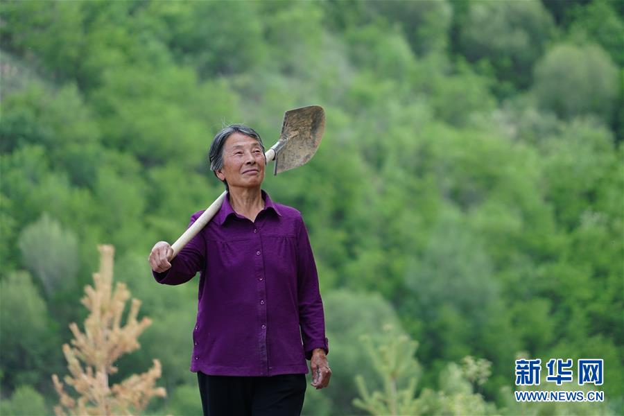 (社会)(1)植树造林 青山为证