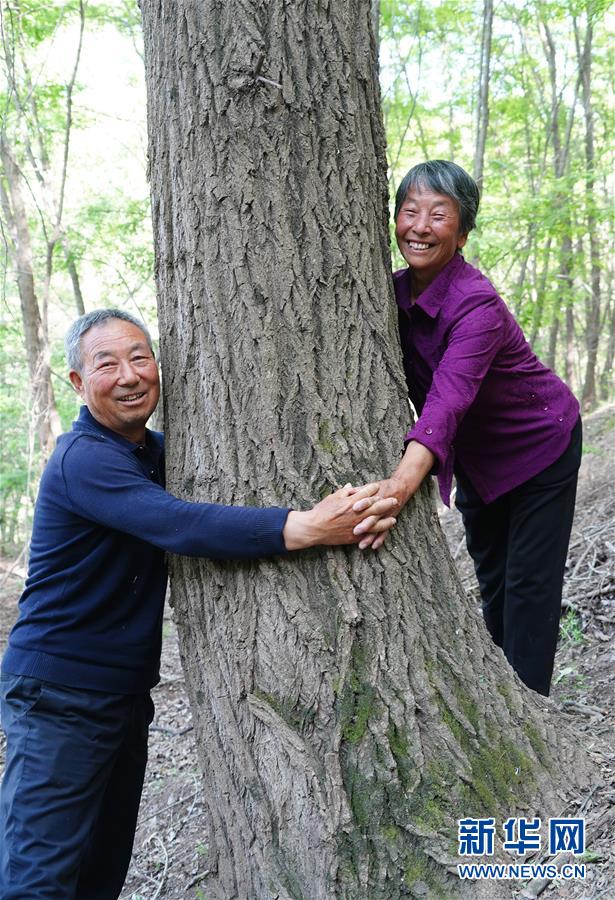 (社会)(2)植树造林 青山为证