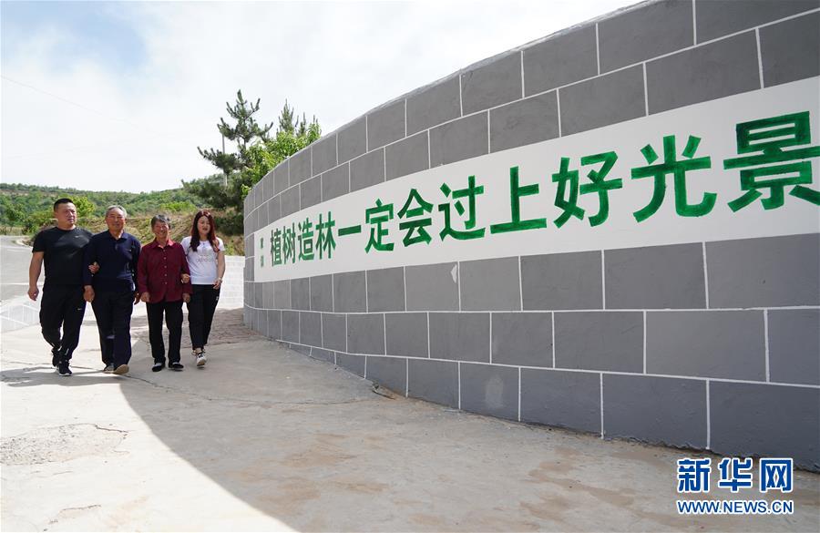 (社会)(7)植树造林 青山为证