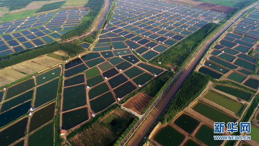 #（环境）（2）山东滨州：保护生态环境 建设美丽乡村