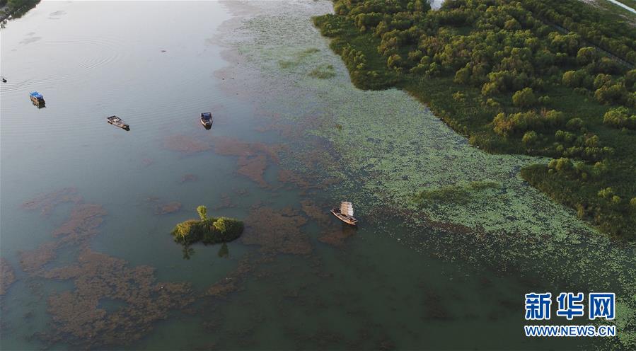 #（环境）（5）山东滨州：保护生态环境 建设美丽乡村