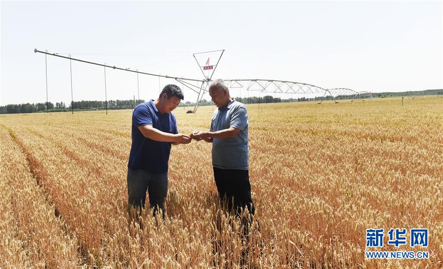 #（环境）（3）山东滨州：保护生态环境 建设美丽乡村