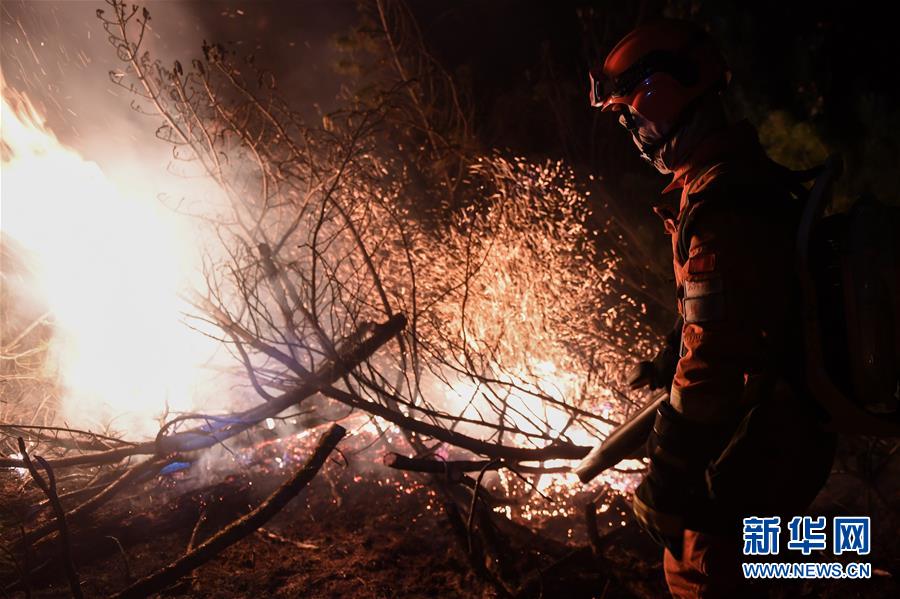 （社会）（4）大兴安岭火灾：救火队员连夜作战
