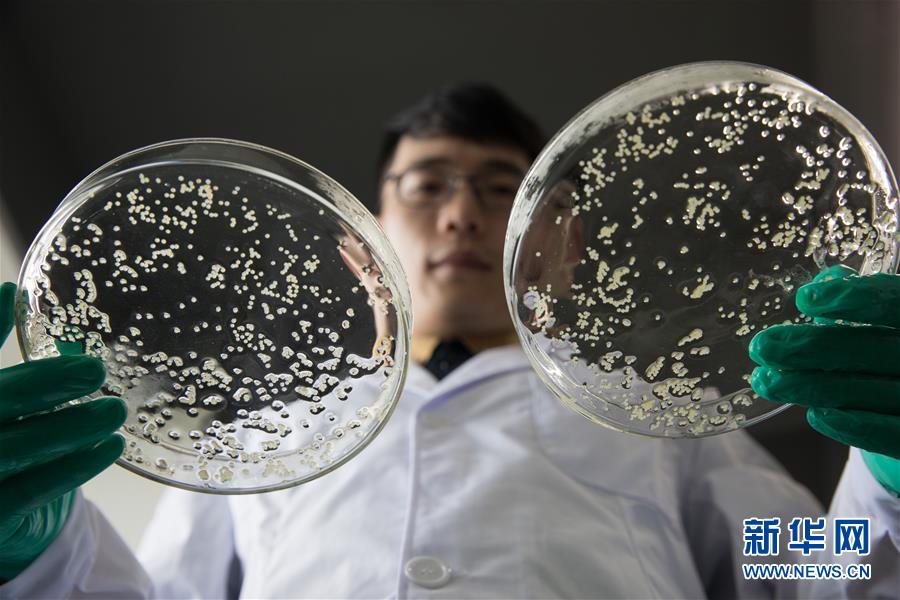 （科技）（4）中科院培育出银鲫新品种&ldquo;中科5号&rdquo;