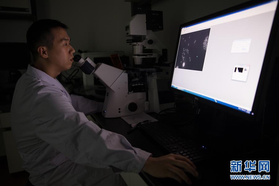 （科技）（8）中科院培育出银鲫新品种&ldquo;中科5号&rdquo;