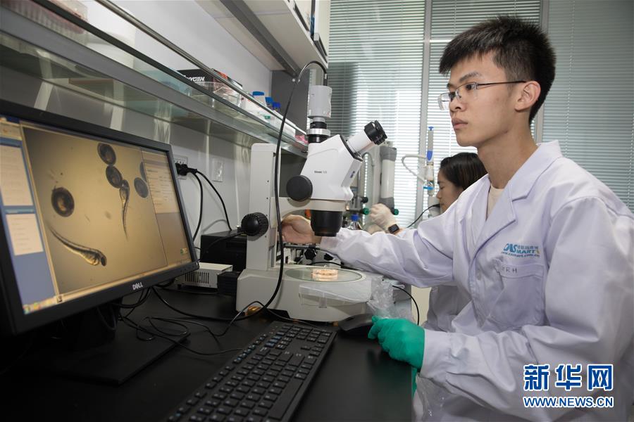 （科技）（10）中科院培育出银鲫新品种&ldquo;中科5号&rdquo;