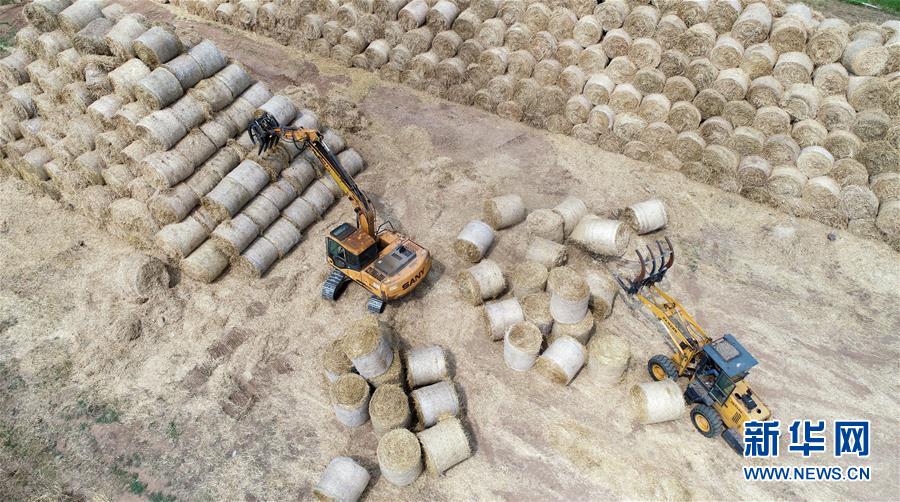 #（经济）山东临沂：麦收时节 回收秸秆