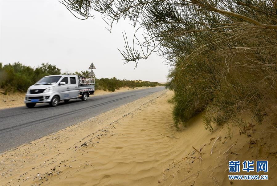 （壮阔东方潮 奋进新时代&mdash;&mdash;庆祝改革开放40年）（3）公路在&ldquo;死亡之海&rdquo;里延伸