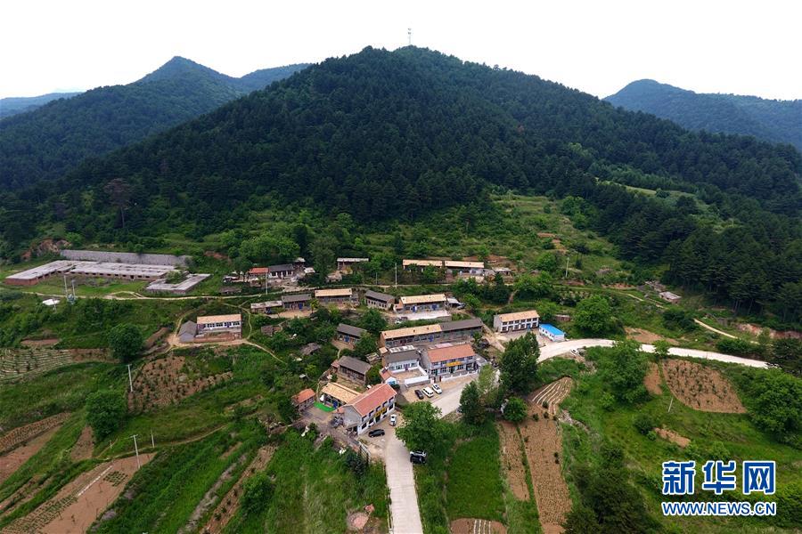 （美丽中国）（2）太岳山上的&ldquo;天然氧吧&rdquo;