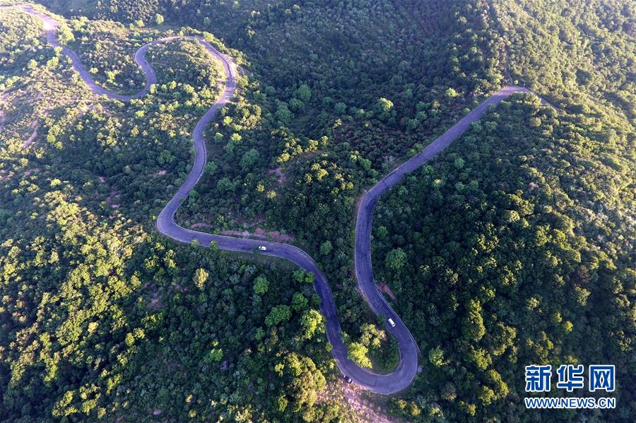 （美丽中国）（4）太岳山上的&ldquo;天然氧吧&rdquo;