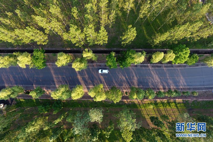 （美丽中国）（5）太岳山上的&ldquo;天然氧吧&rdquo;