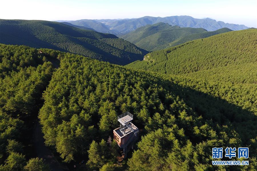 （美丽中国）（9）太岳山上的&ldquo;天然氧吧&rdquo;