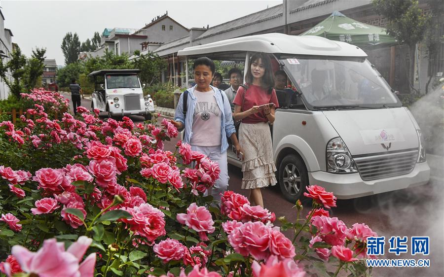 （脱贫攻坚）（5）玫瑰芳香引客来