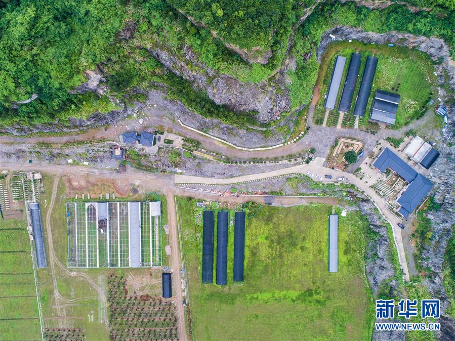 （社会）（2）浙江湖州：废弃矿山复绿变身生态公园