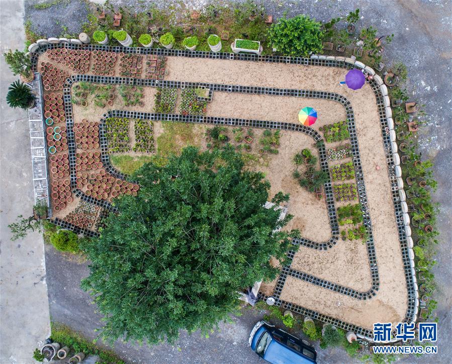 （社会）（7）浙江湖州：废弃矿山复绿变身生态公园