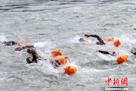 本届抢渡赛选手从循化县境内黄河水域南岸出发，斜对角顺流游向北岸终点，全长500米。　张添福 摄