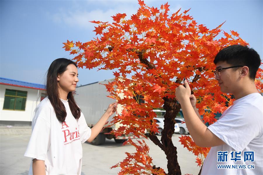 （经济）（3）江苏沭阳：仿真花铺就富民路