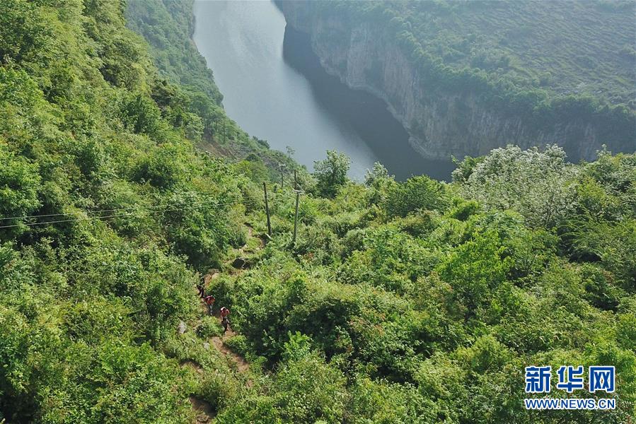 (新华全媒头条·图文互动)(6)崖壁上绽放的缫丝花——记贵州乡村教师杨绍书41年坚守见证苗寨变迁