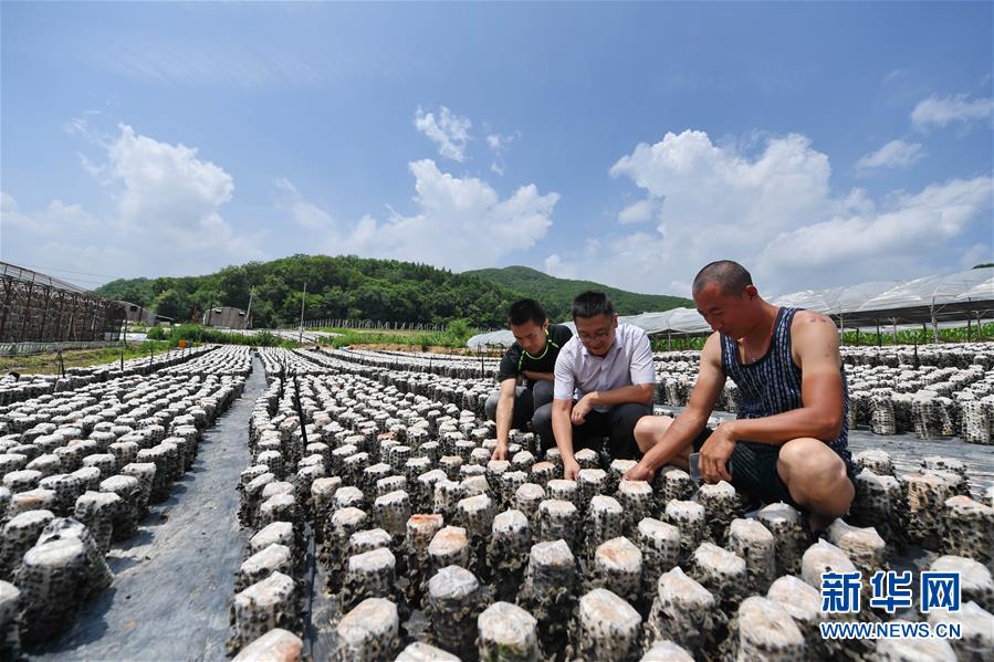 （脱贫攻坚）（2）&ldquo;你们不脱贫，我就不回城&rdquo;&mdash;&mdash;大黑山村&ldquo;第一书记&rdquo;阚阅的&ldquo;军令状&rdquo;