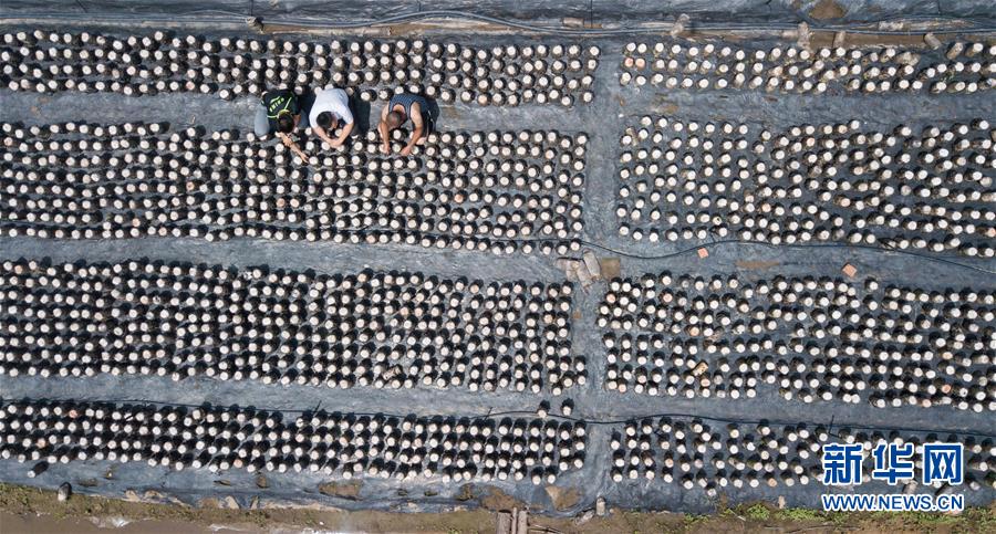 （脱贫攻坚）（3）&ldquo;你们不脱贫，我就不回城&rdquo;&mdash;&mdash;大黑山村&ldquo;第一书记&rdquo;阚阅的&ldquo;军令状&rdquo;