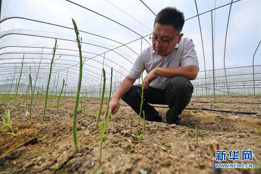 （脱贫攻坚）（4）&ldquo;你们不脱贫，我就不回城&rdquo;&mdash;&mdash;大黑山村&ldquo;第一书记&rdquo;阚阅的&ldquo;军令状&rdquo;