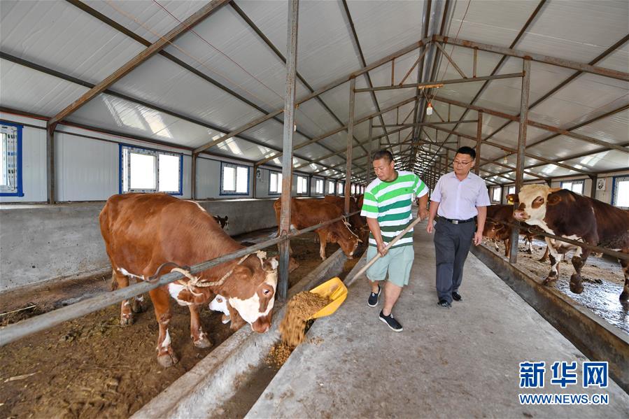 （脱贫攻坚）（6）&ldquo;你们不脱贫，我就不回城&rdquo;&mdash;&mdash;大黑山村&ldquo;第一书记&rdquo;阚阅的&ldquo;军令状&rdquo;