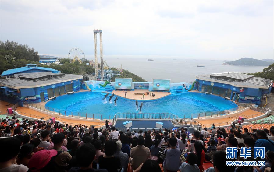 （图文互动）（4）涤浊扬清、奋发有为&mdash;&mdash;香港经济社会发展一年间焕发新气象