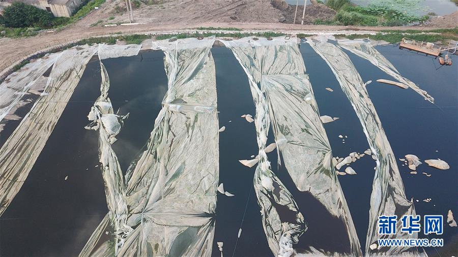 (新华视点·图文互动)(4)中央督察两年有的丝毫未改,有的不减反增——江苏泰兴数万吨化工废料和污泥堆放长江边调查