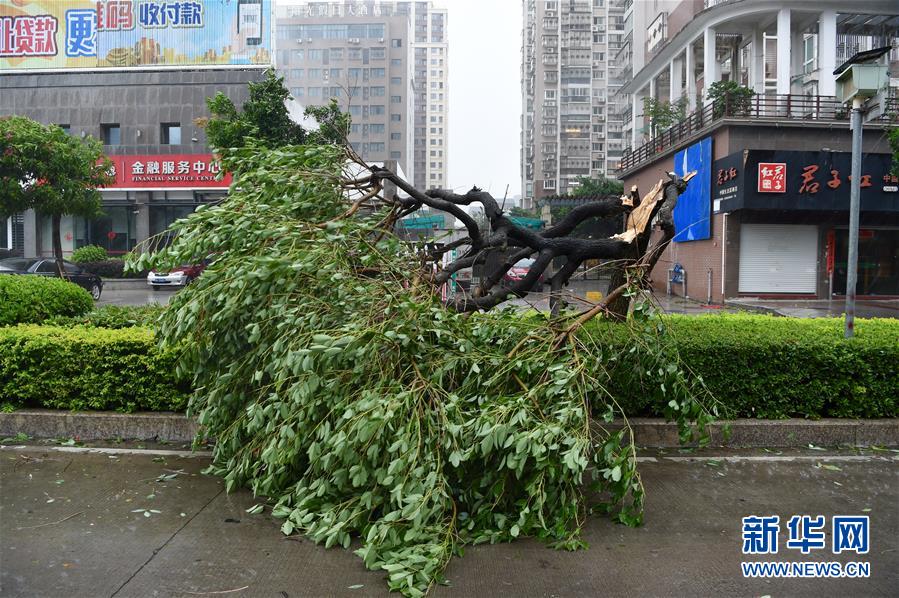 （关注&ldquo;玛莉亚&rdquo;）（3）第8号台风&ldquo;玛莉亚&rdquo;在福建连江登陆