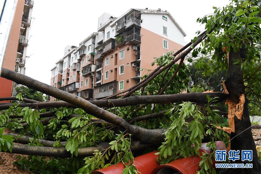 （关注&ldquo;玛莉亚&rdquo;）（8）第8号台风&ldquo;玛莉亚&rdquo;在福建连江登陆