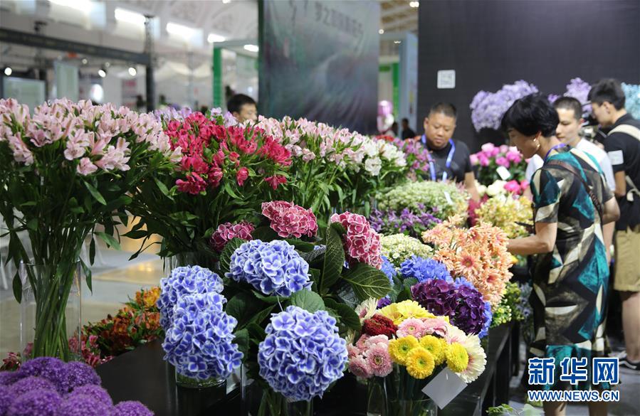 #（服务）（1）第19届中国昆明国际花卉展开幕