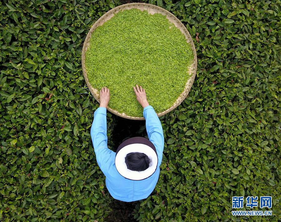 #(经济)(4)上半年中国经济同比增长6.8%