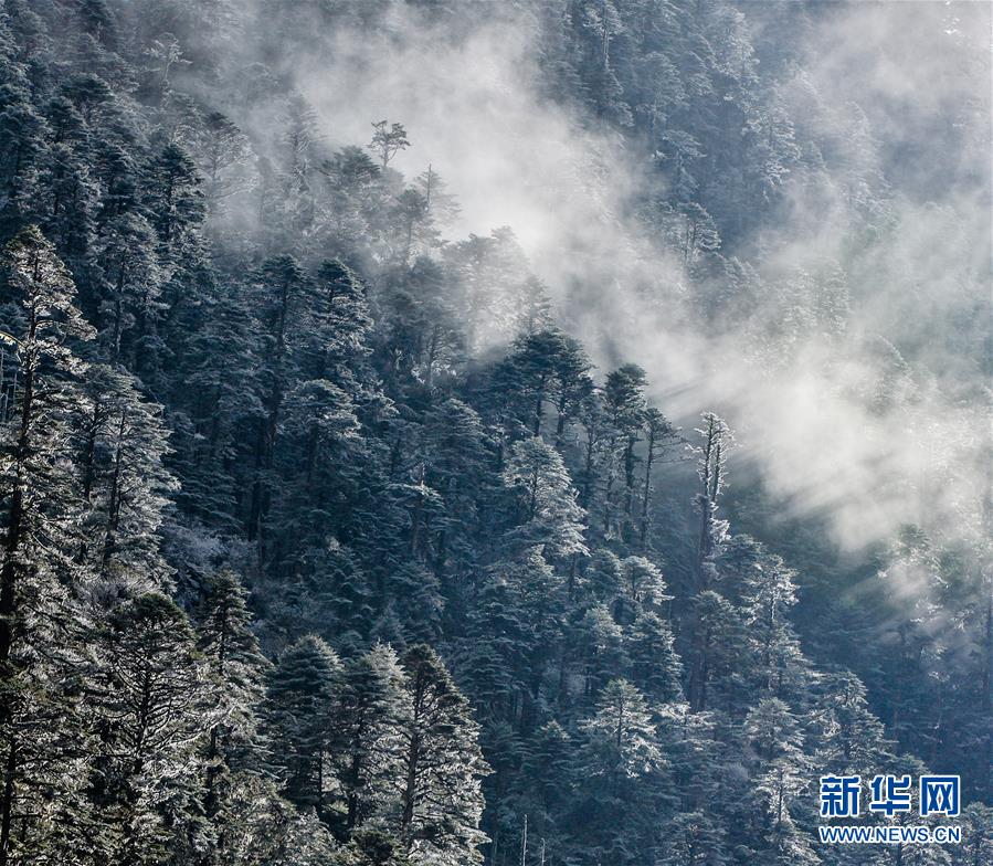 （环境）（8）白皮书：青藏高原地区仍然是地球上最洁净的地区之一