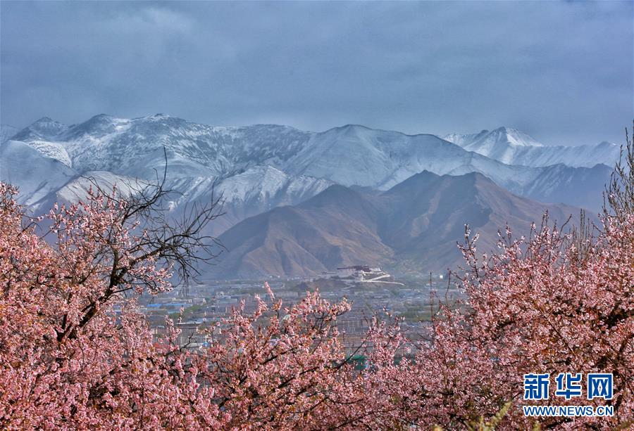 ï¼ç¯å¢ï¼ï¼11ï¼ç½ç®ä¹¦ï¼éèé«åå°åºä»ç¶æ¯å°çä¸ææ´åçå°åºä¹ä¸