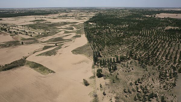 三北工程40年:辽宁彰武用生命筑起绿色长城