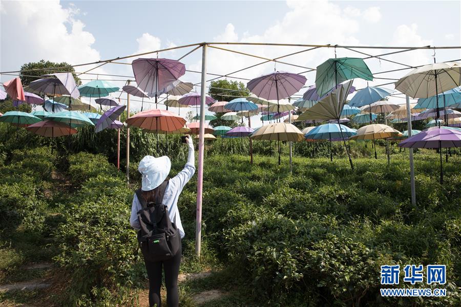 （大江奔流——来自长江经济带的报道·图文互动）（4）在这里，做一个幸福的农民